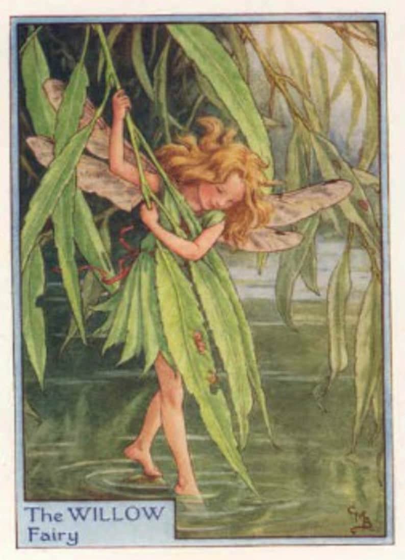 The Willow Fairy  Cross stitch pattern pdf format image 1