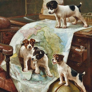 May include: Four black and white terrier puppies are exploring a large map spread out on a wooden table. The puppies are standing on the map, looking at it curiously. One puppy is standing on a globe.
