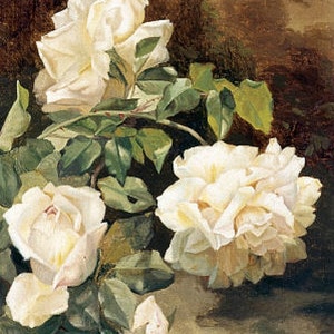 Witte rozen - kruissteekpatroon, pdf-formaat, geleverd per e-mail, Alexandre Debrus, kruissteek bloemen, kruissteek rozen