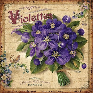 Violettes - Kruissteekpatroon, pdf-formaat, bezorgd per e-mail, bloemen kruissteek, vintage advertenties kruissteek, kruissteek bloemen