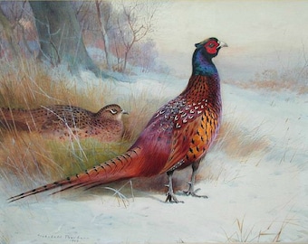 Englischer Fasan - Kreuzstichmuster, PDF-Format, per E-Mail geliefert, Archibald Thorburn, Tiere Kreuzstich, Fasanen Kreuzstich