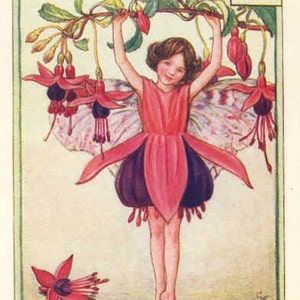 Fuchsia - Kruissteekpatroon - pdf-formaat - Geleverd per e-mail - Dit is geen pakket - Cicely Mary Barker - Kruissteek feeën