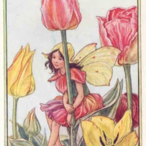 Tulip Fairy Cross stitch pattern pdf format Delivered by email This is not a kit image 1