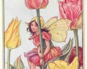 Tulip Fairy - Cross stitch pattern - pdf format - Delivered by email - This is not a kit