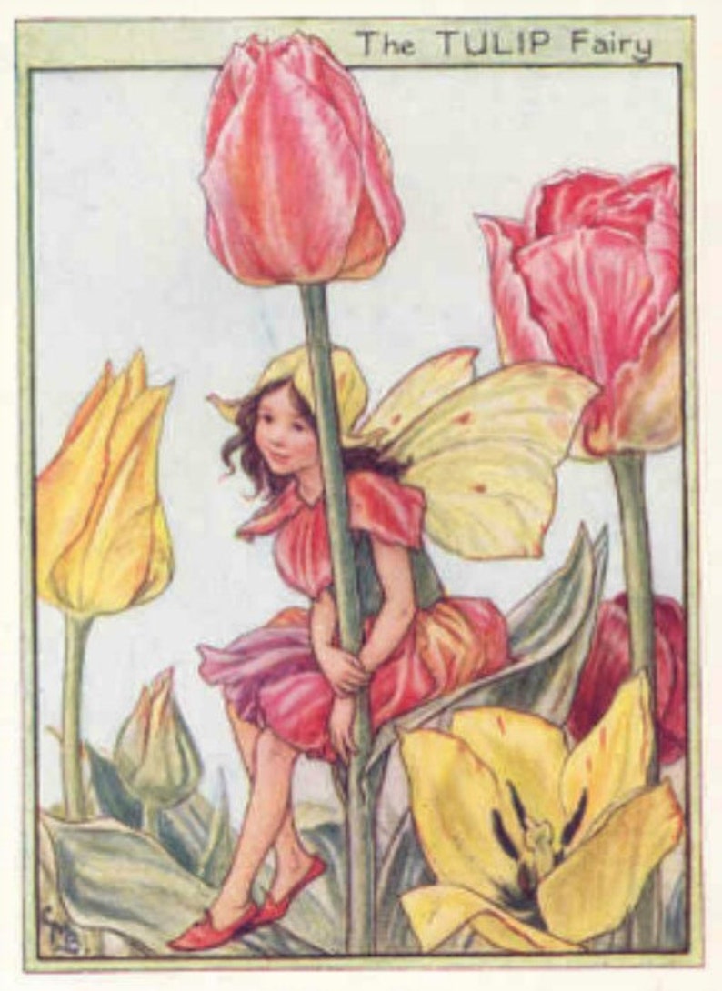 Tulip Fairy Cross stitch pattern pdf format Delivered by email This is not a kit image 1