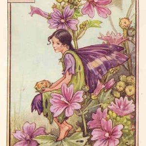 Malve - kruissteekpatroon, pdf-formaat, geleverd per e-mail, Cicely Mary Barker, kruissteek feeën, kruissteek bloemen