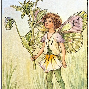 The Heart's Ease Fairy - Kruissteekpatroon - pdf-formaat - geleverd per emil - Dit is geen pakket - Cicely Mary Barker-Fairies-kruissteek