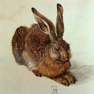 Haas - kruissteekpatroon, pdf-formaat, geleverd per e-mail, Albrecht Dürer, kruissteek dieren, kruissteek haas, kunstkruissteek