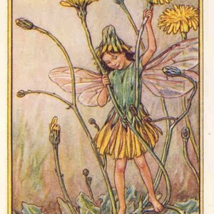 De kattenoorfee - kruissteekpatroon, pdf-formaat, geleverd per e-mail, Cicely Mary Barker, kruissteek feeën, kruissteek bloemen