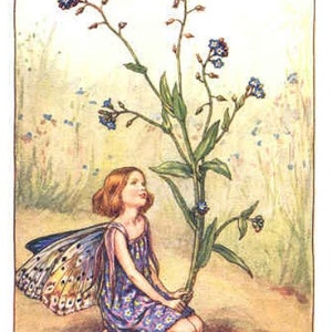 Vergeet me niet - kruissteekpatroon, pdf-formaat, bezorgd per e-mail, Cicely Mary Barker, kruissteek feeën, kruissteek bloemen