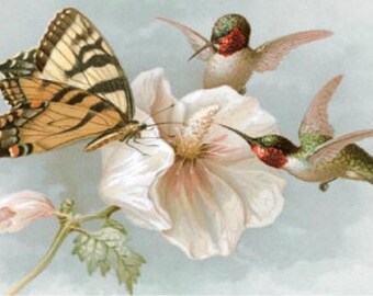 Kolibris und Schmetterling - Kreuzstichmuster, PDF-Format, per E-Mail geliefert, Kolibri Kreuzstich, Vögel Kreuzstich