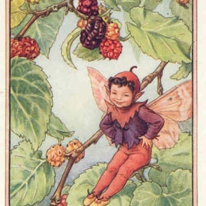 The Mulberry Fairy - kruissteekpatroon, pdf-formaat, geleverd per e-mail, Cicely Mary Barker, kruissteek feeën, kruissteek bloemen