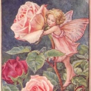 The Rose Fairy - kruissteekpatroon, pdf-formaat, geleverd per e-mail, Cicely Mary Barker, kruissteek feeën, kruissteek bloemen