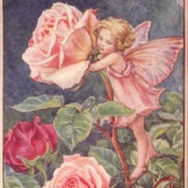 The Rose Fairy - Cross stitch pattern - pdf format - Delivered by email - This is not a kit