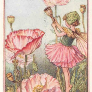 Shirley Poppy - Kruissteekpatroon, pdf-formaat, bezorgd per e-mail, Cicely Mary Barker, kruissteek feeën, kruissteek bloemen