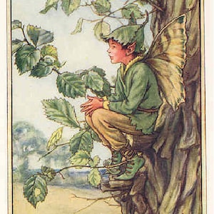 The Elm Fairy - kruissteekpatroon, pdf-formaat, geleverd per e-mail, Cicely Mary Barker, kruissteek feeën, kruissteek bloemen