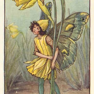 The Daffodil Fairy - Kruissteekpatroon, pdf-formaat, geleverd per e-mail, Cicely Mary Barker, kruissteek feeën, kruissteek bloemen