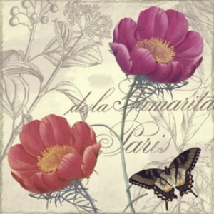 Petals of Paris I - kruissteekpatroon, pdf-formaat, bezorgd per e-mail, kruissteek bloemen, moderne kruissteek