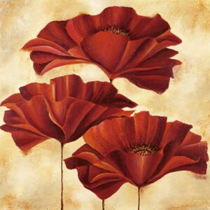 Three Poppies II - kruissteekpatroon - pdf-formaat - bezorgd per e-mail - dit is geen pakket - kruissteek bloemen