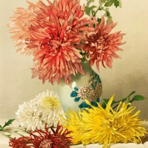 Chrysanten - kruissteekpatroon, pdf-formaat, bezorgd per e-mail, Mary Elizabeth Duffield, kruissteek bloemen