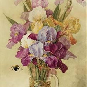 Irissen, Longpre - kruissteekpatroon, pdf-formaat, geleverd per e-mail, Paul de Longpre, kruissteek bloemen, kruissteek irissen
