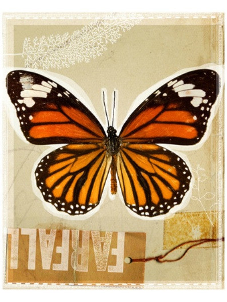 Monarch Butterfly Cross stitch pattern pdf format | Etsy