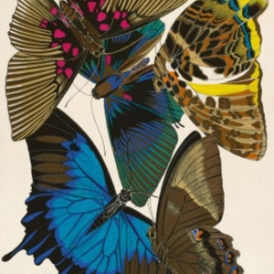 Butterfly Collection I - Cross stitch pattern, pdf format, Delivered by email, Butterfly cross stitch, Animals cross stitch
