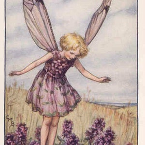 Wilde tijm - kruissteekpatroon, pdf-formaat, geleverd per e-mail, Cicely Mary Barker, kruissteek feeën, kruissteek bloemen