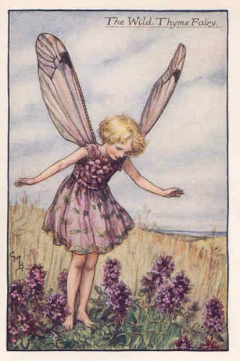 Wild Thyme  Cross stitch pattern pdf format image 1