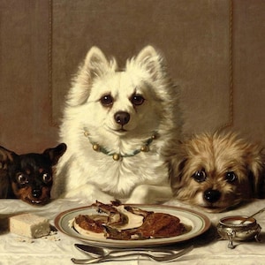 May include: Three dogs sit at a table set for a meal. A white dog with a beaded collar sits in the center, a black and brown dog sits on the left, and a brown dog sits on the right. A plate of food is in front of the white dog, and a glass of wine is on the table.