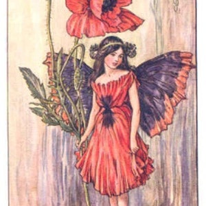 The Poppy Fairy - kruissteekpatroon, pdf-formaat, bezorgd per e-mail, Cicely Mary Barker, kruissteek feeën, kruissteek bloemen