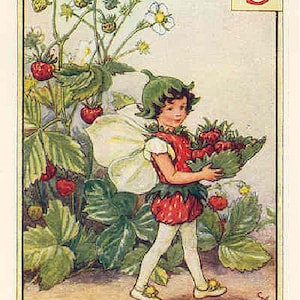 The Strawberry Fairy - kruissteekpatroon, pdf-formaat, geleverd per e-mail, Cicely Mary Barker, kruissteek feeën, kruissteek bloemen