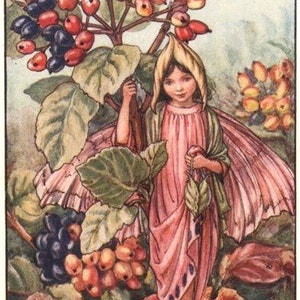 The Wayfaring Tree Fairy - kruissteekpatroon, pdf-formaat, bezorgd per e-mail, feeën kruissteek, bloemen kruissteek