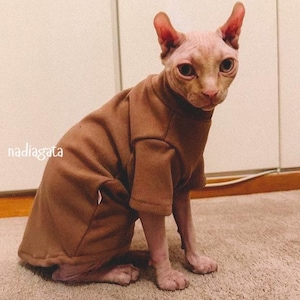 Brown Sphynx Cat Turtleneck: Plush Cotton, Warm Kitten Clothing