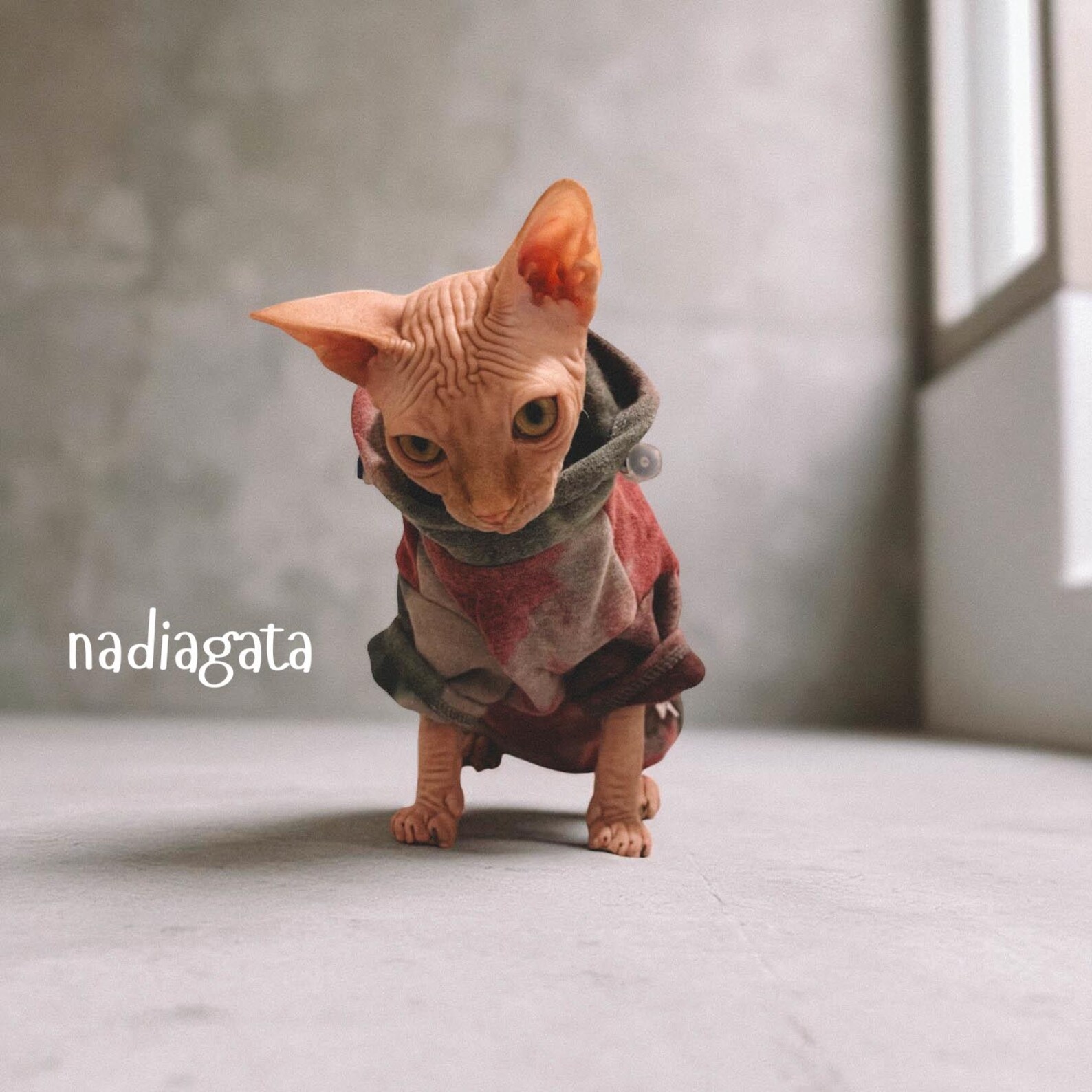 Sphynx Eternal Love Longline Hoodie