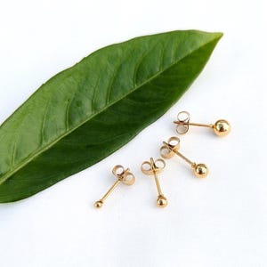 Könnte beinhalten: Vier goldfarbene Kugelstecker-Ohrringe mit Schmetterlingsverschlüssen sind auf einer weißen Oberfläche neben einem großen grünen Blatt angeordnet. Die Ohrringe haben ein schlichtes, minimalistisches Design.