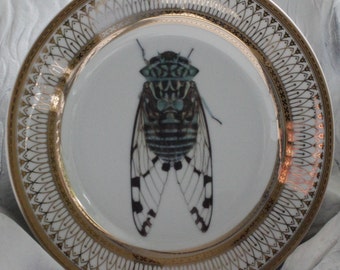 FREE SHIPPING-Gold Porcelain Cicada Bug Plate or Cup and Saucer Set (8 oz), Food Safe and Durable