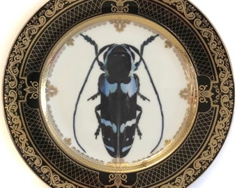 FREE SHIPPING-Gorgeous Black and Gold Insect Plate / Bug Plate, Various Sizes. Foodsafe, Extremely Durable