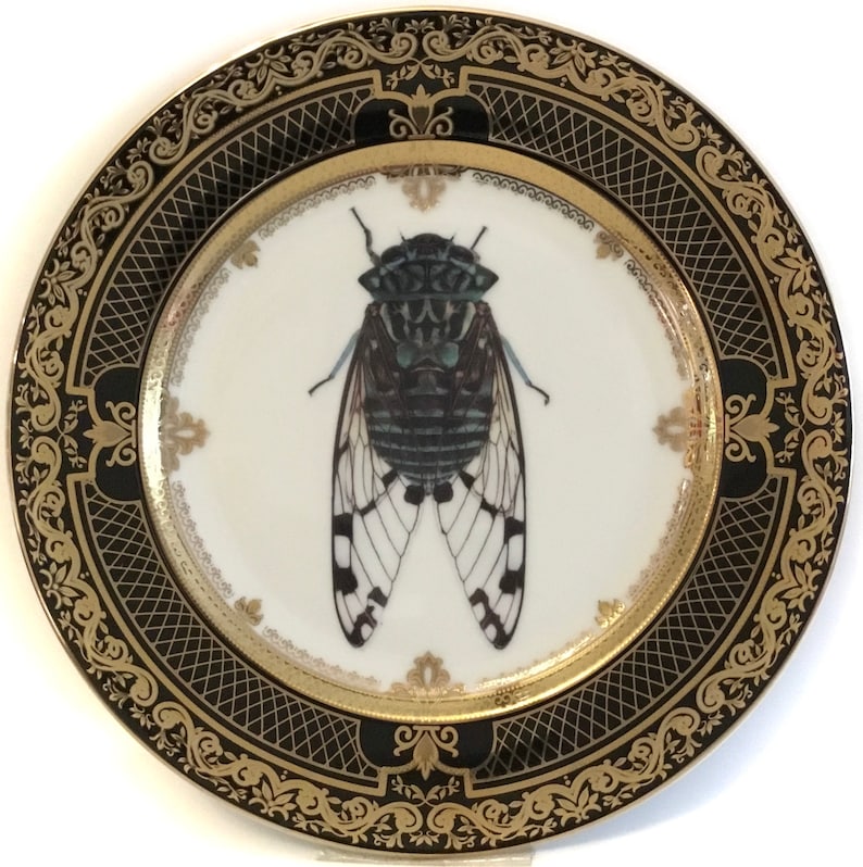 Black and Gold Insect Plate / Bug Plate Various Etsy