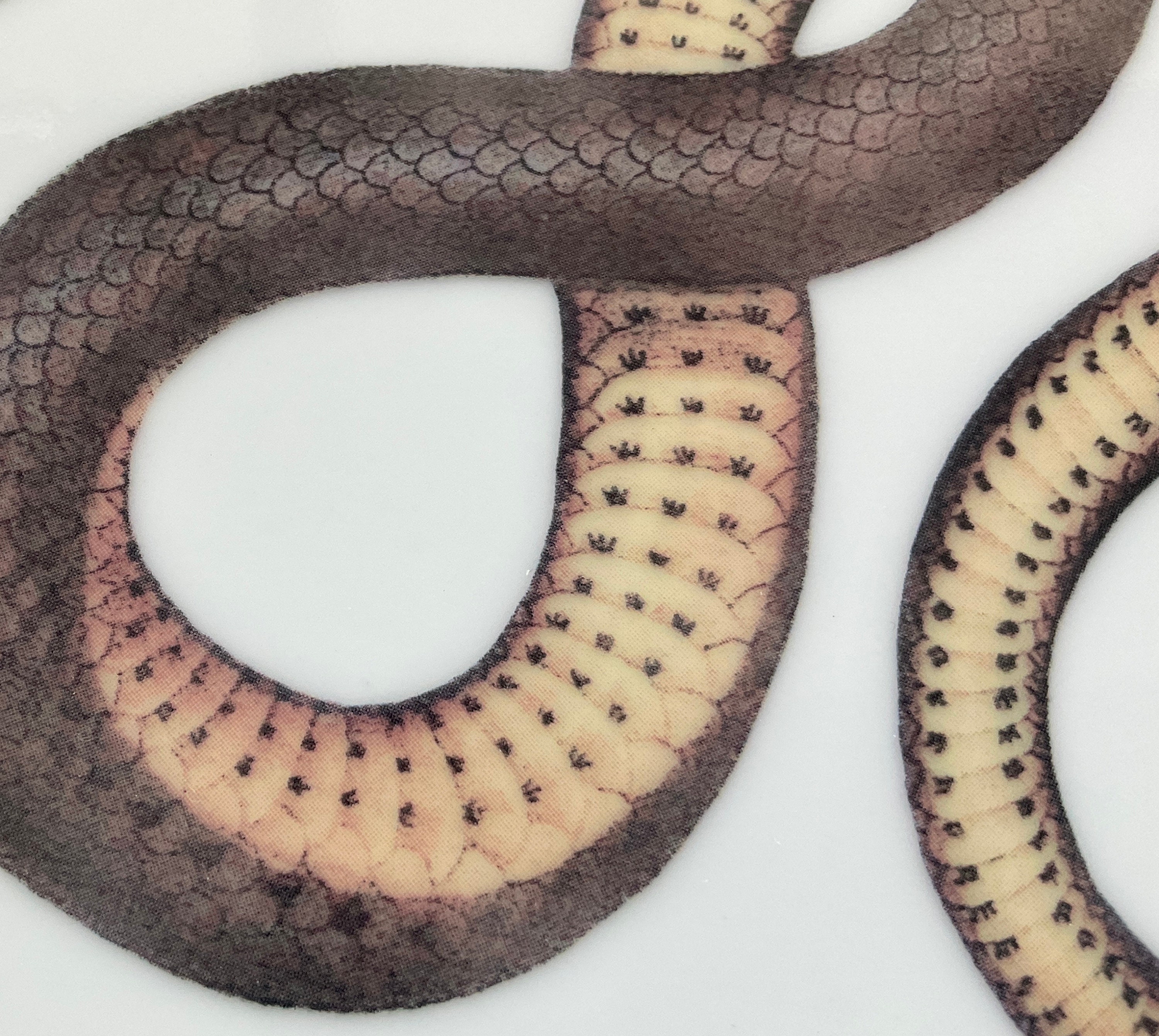 Porcelain Snake Cup and Saucer Set or Plate. Food Safe and Durable ...