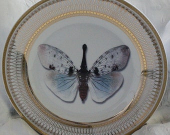 FREE SHIPPING-Gold Porcelain Butterfly Plate/Bug Plate, Foodsafe and Durable.