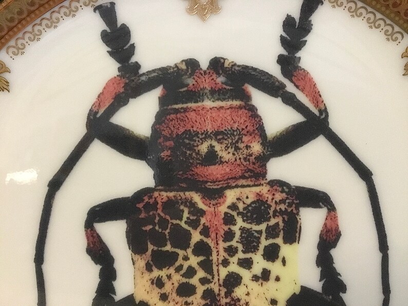 Insect Plate Design FREE Shipping-gorgeous Black and Gold Insect Plate / Bug Plate, Various ...