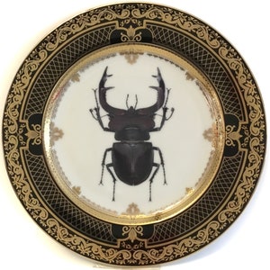 FREE SHIPPING-Gorgeous Black and Gold Stag Beetle Plate / Insect Plate / Bug Plate, Various Sizes. Foodsafe, Extremely Durable