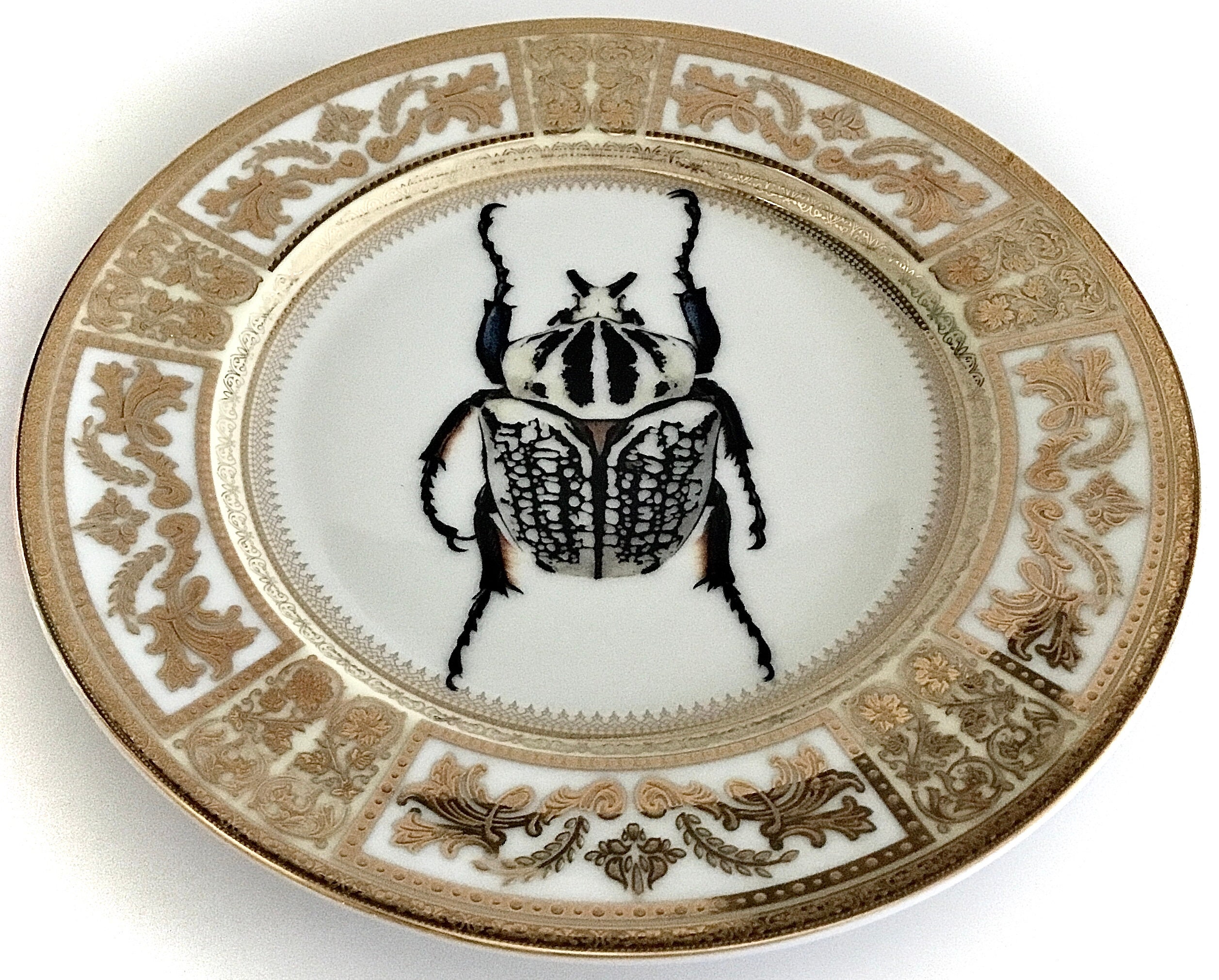 Raised Gold Insect Plate / Bug Plate Various Sizes. Etsy