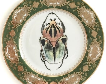 FREE SHIPPING-Gorgeous Green and Gold Goliath Beetle Plate