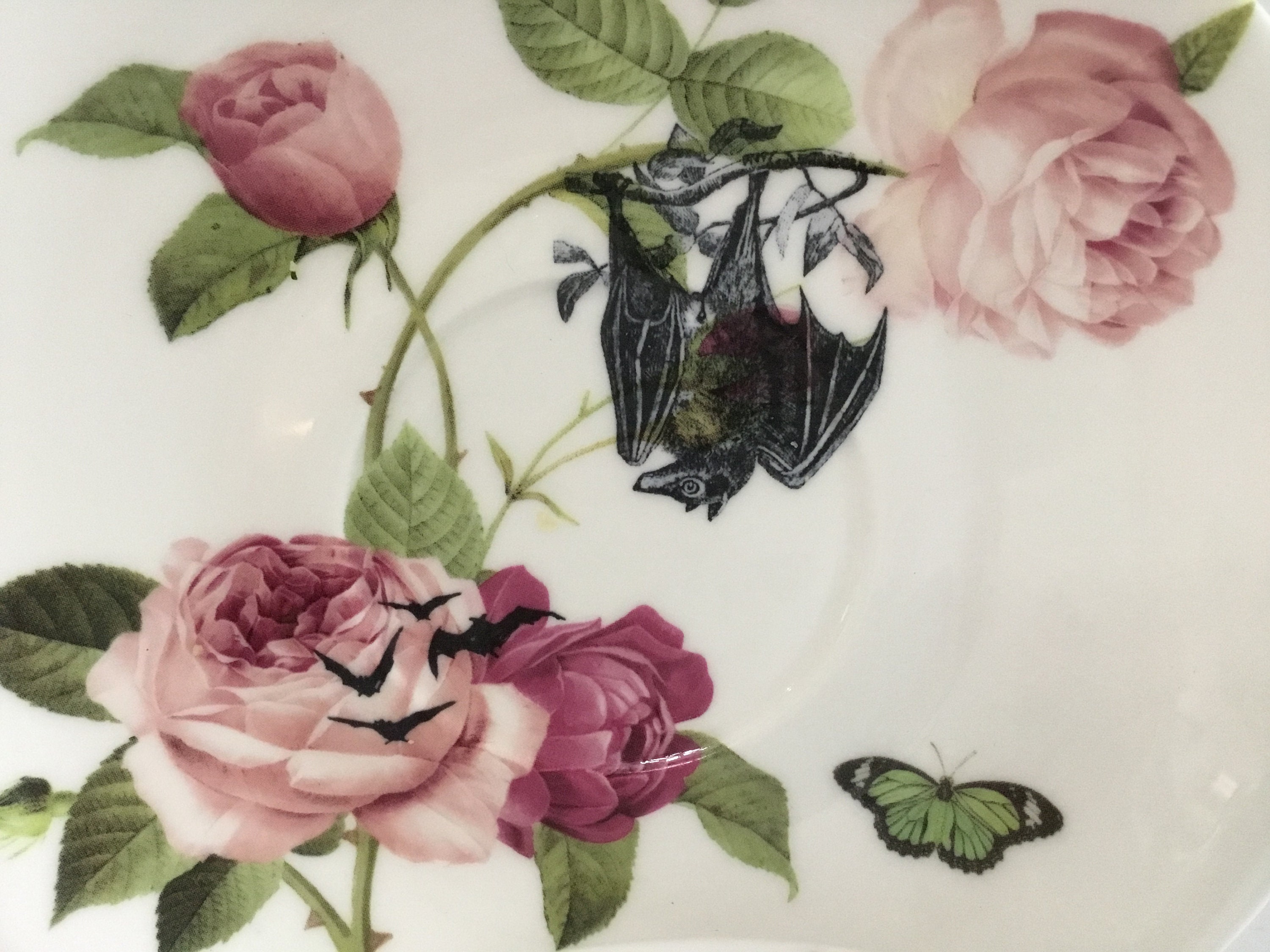 Adorable Rose / Floral Bat Teacup and Saucer Set, 8 Ounces, Food- and ...