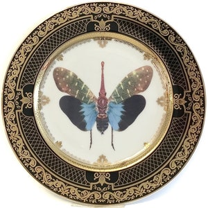 FREE SHIPPING-Gorgeous Black and Gold Lantern Fly / Butterfly Plate / Insect Plate / Bug Plate, Various Sizes. Foodsafe, Extremely Durable