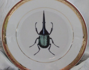 FREE SHIPPING-Gold Porcelain Insect Plate/Bug Plate or Cup and Saucer Set, Food Safe and Durable.
