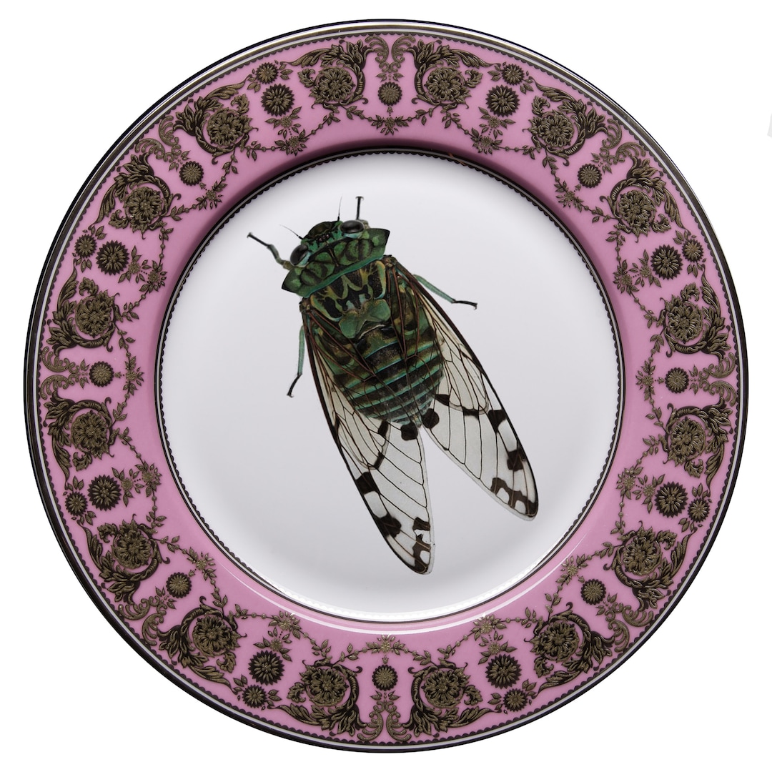 Insect Plate Design FREE Shipping-gorgeous Pink and Gold Cicada Plate, Various Sizes. Bug ...