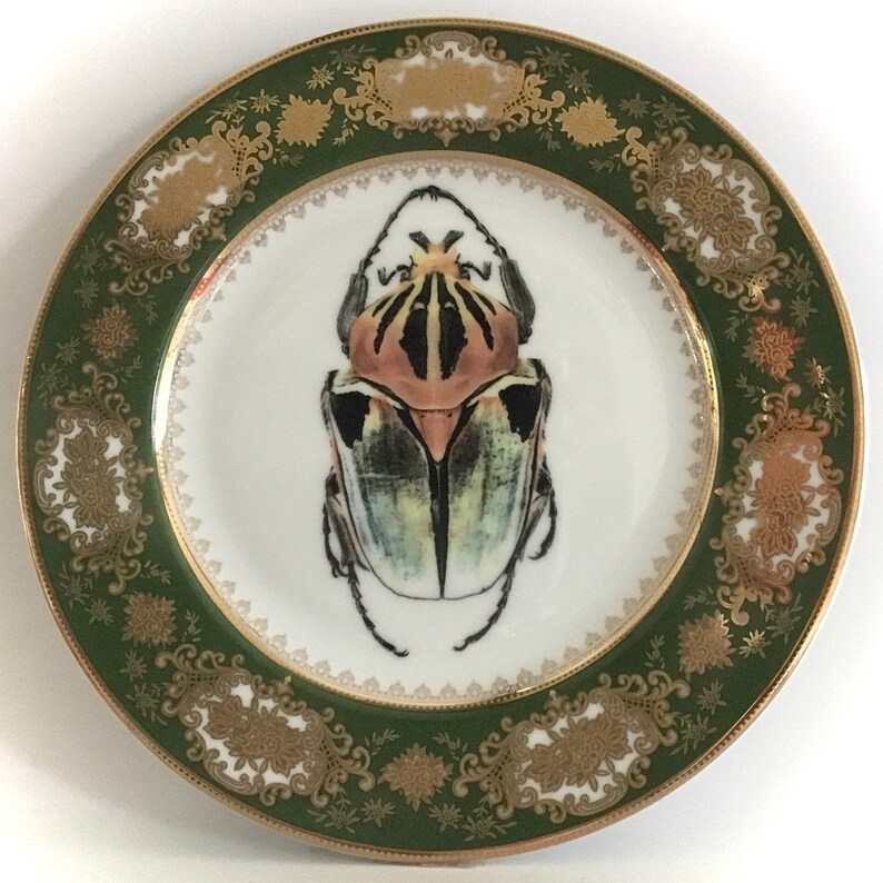 Green and Gold Insect Plate / Bug Plate Various Etsy